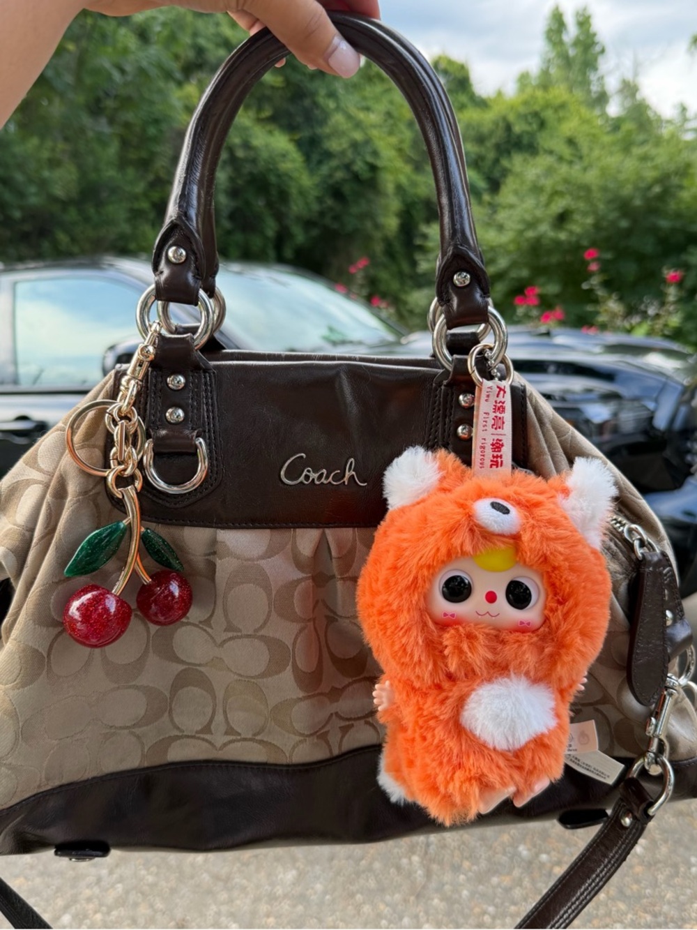 Coach Ashley Signature Satchel